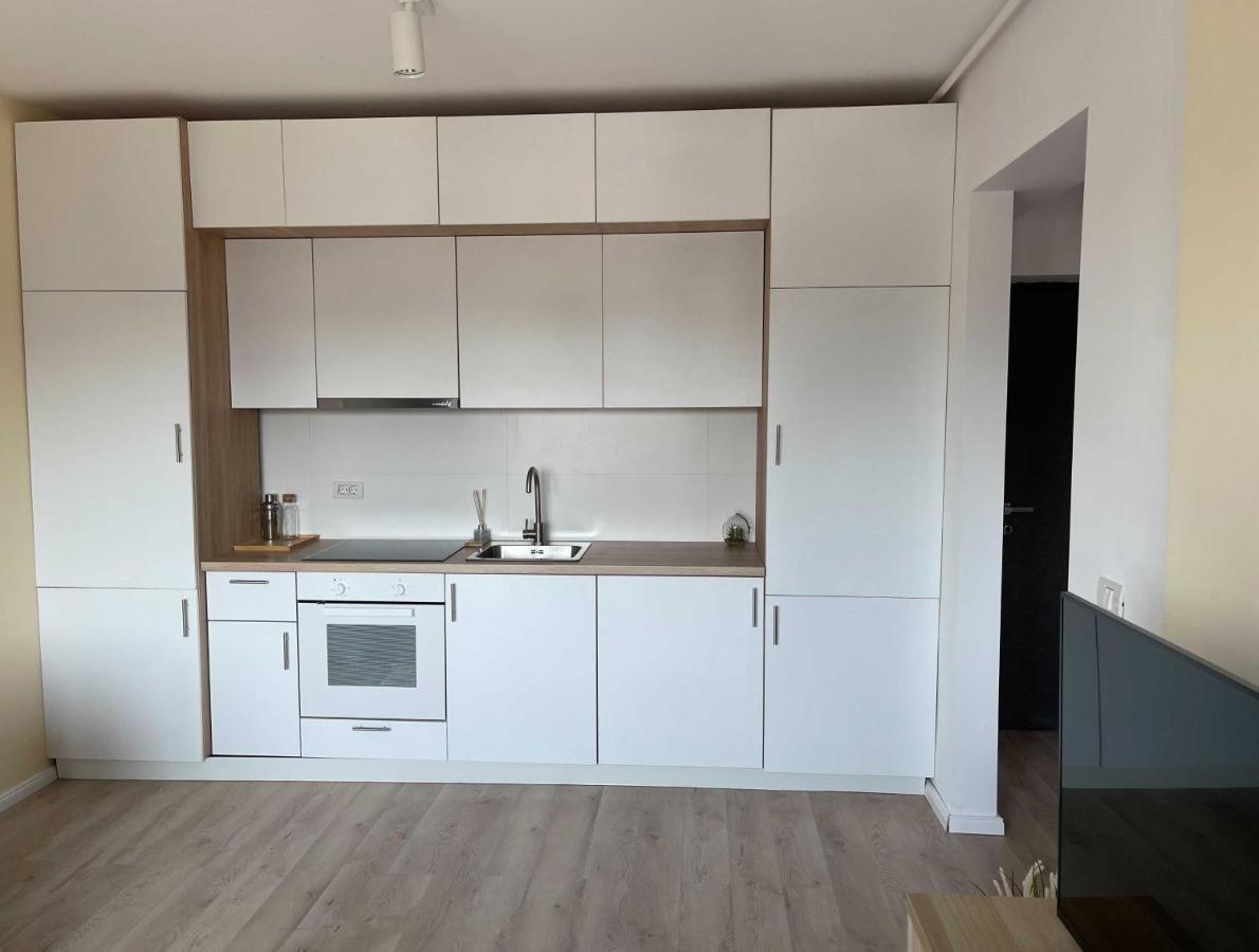 Platinum Luxury Apartment Near Presidential Palace Βουκουρέστι Εξωτερικό φωτογραφία