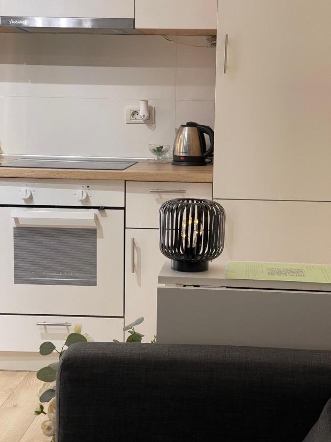 Platinum Luxury Apartment Near Presidential Palace Βουκουρέστι Εξωτερικό φωτογραφία